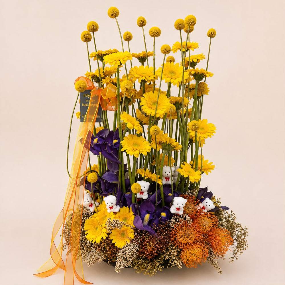 Ayıcıklı Sarı Gerbera Bahçesi