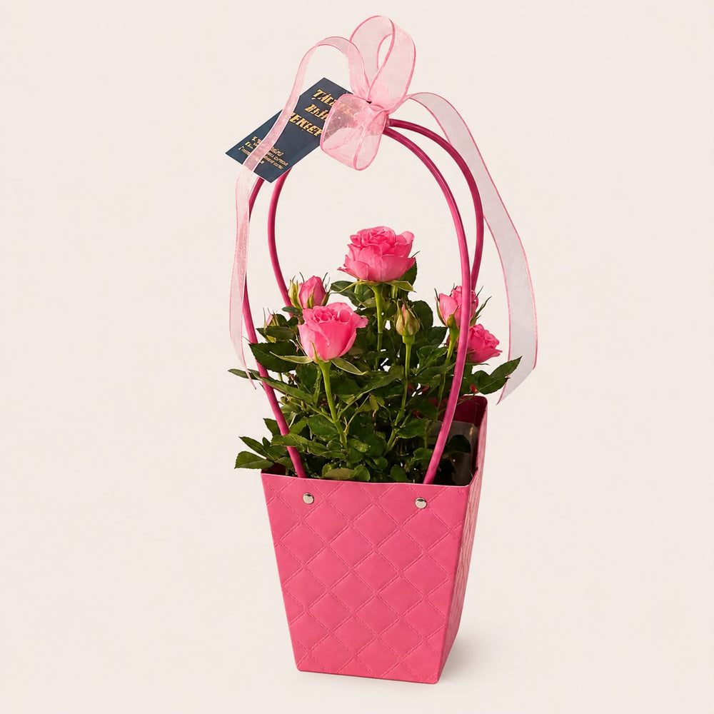 Çanta Kutuda Pembe Mini Gül
