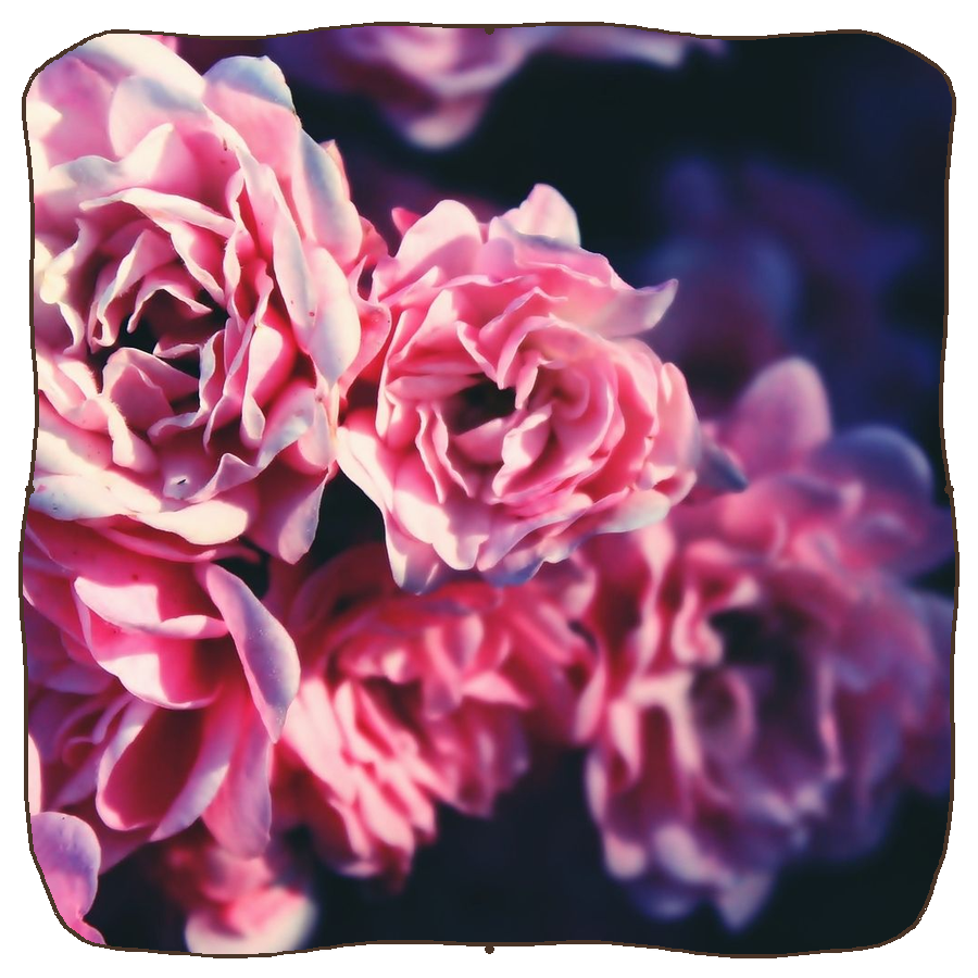 image column image