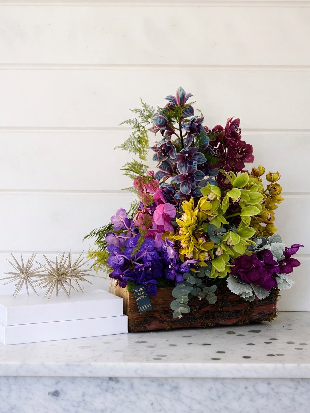 Kütükte Simbidyum ve Vanda Orkide Bahçesi