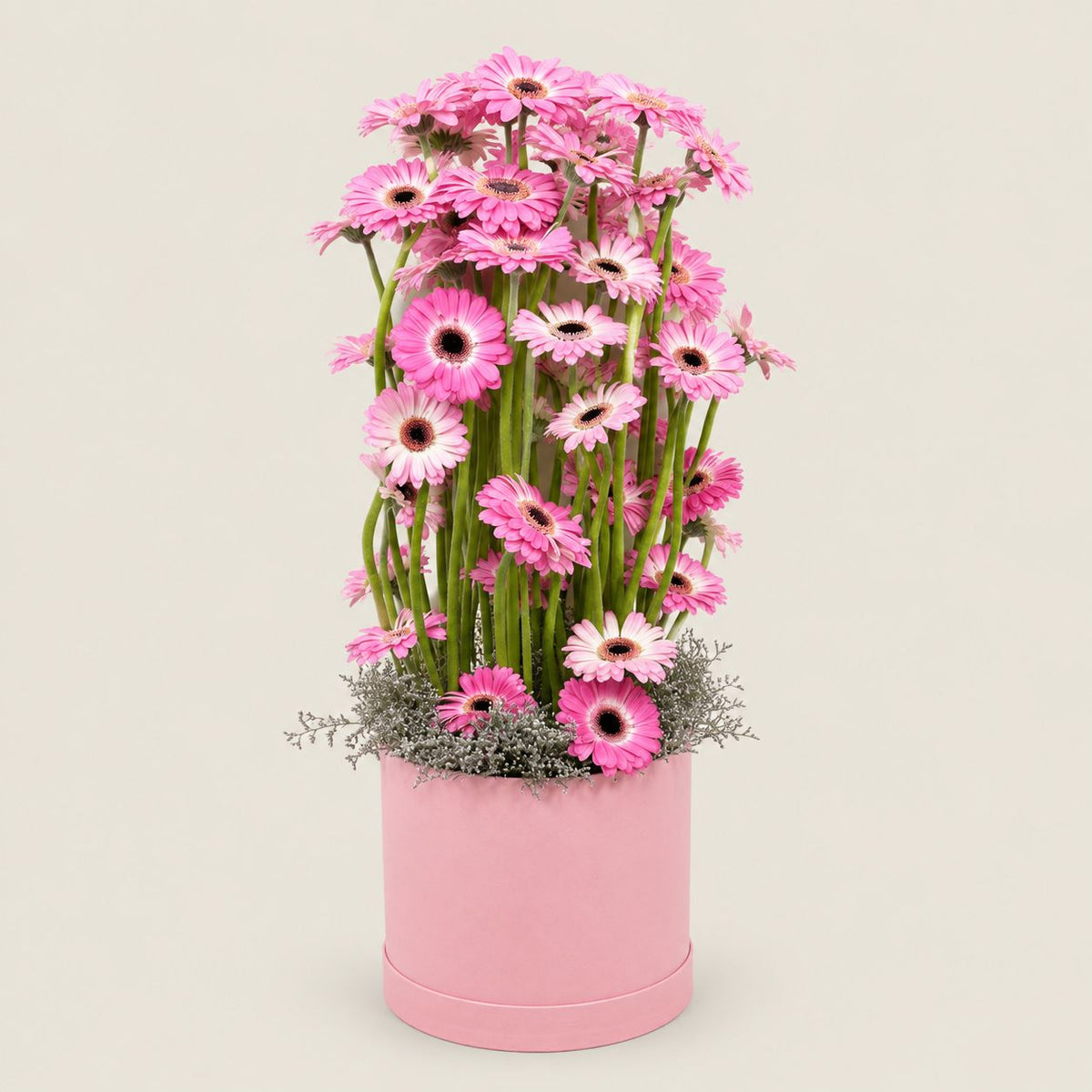 Pembe Kutuda Pembe Gerbera Aranjmanı